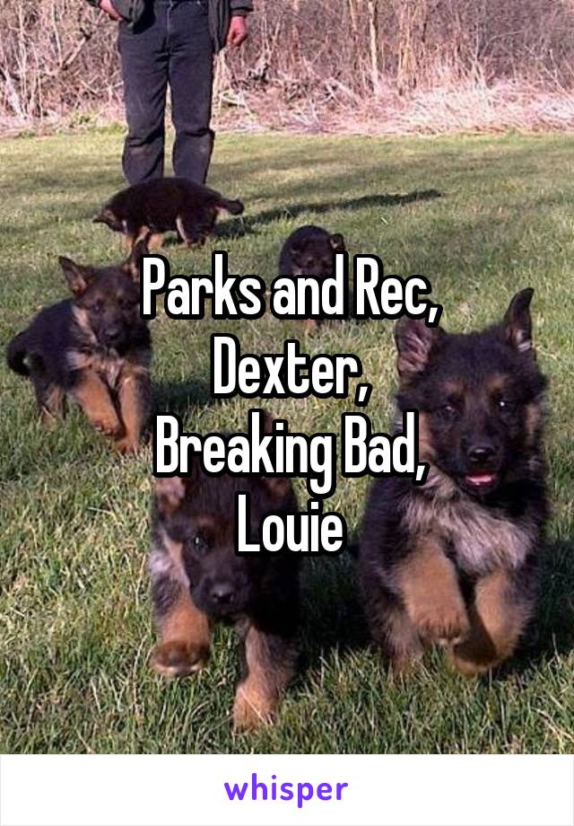 Parks and Rec,
Dexter,
Breaking Bad,
Louie