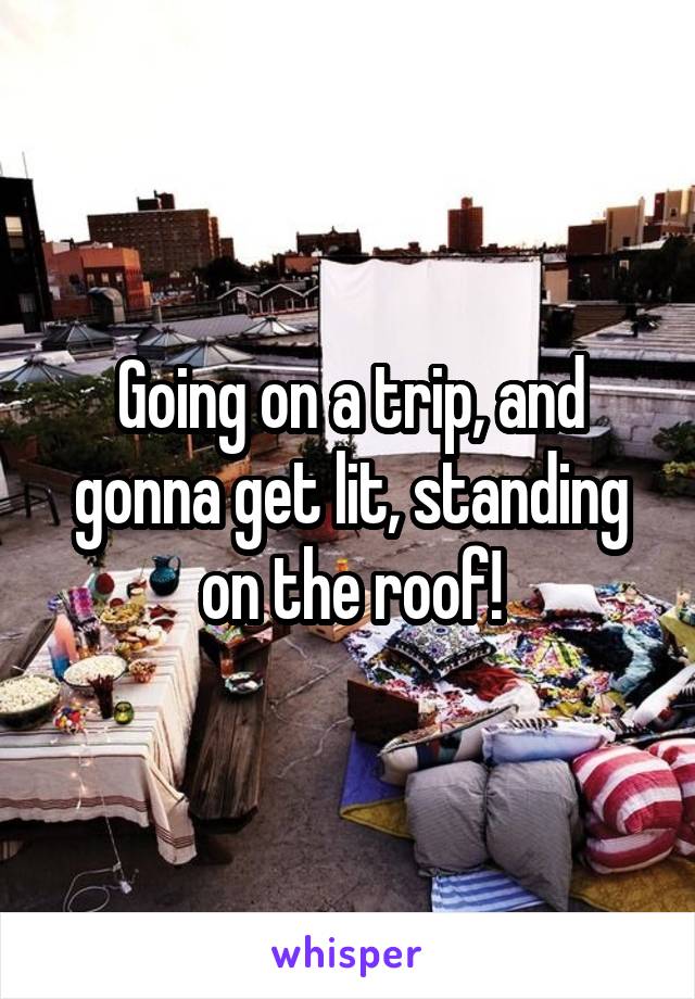 Going on a trip, and gonna get lit, standing on the roof!