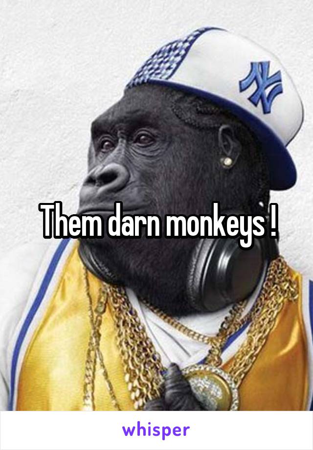 Them darn monkeys !