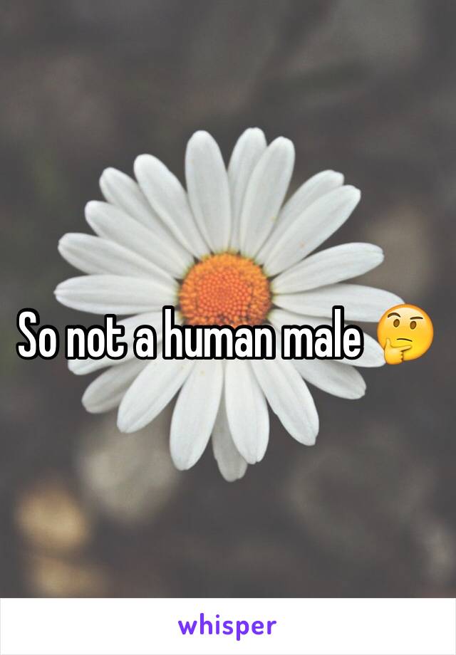 So not a human male 🤔