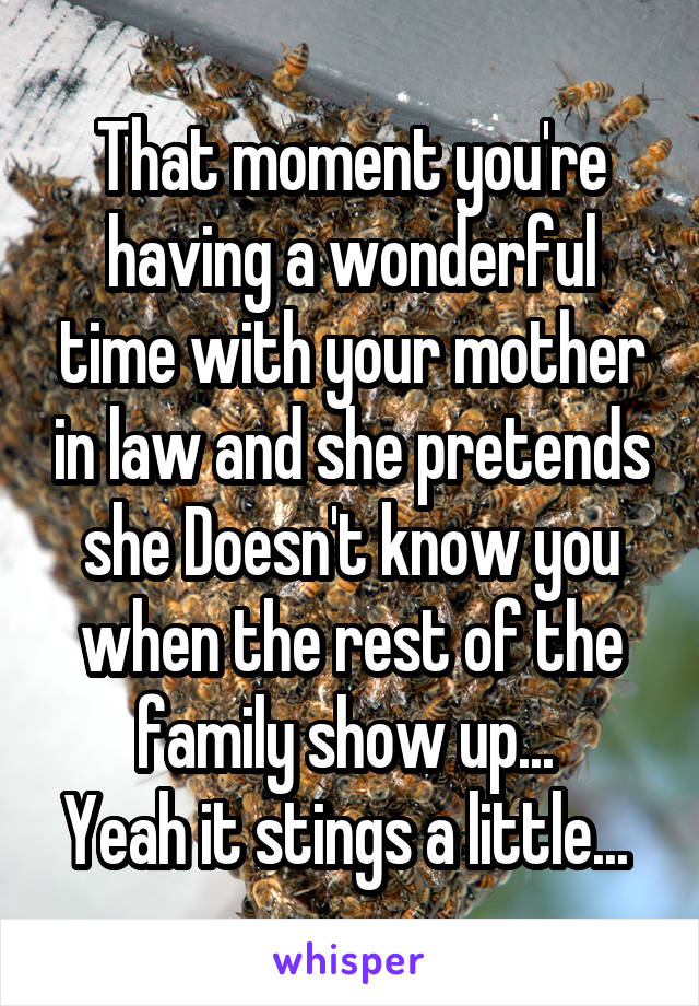 That moment you're having a wonderful time with your mother in law and she pretends she Doesn't know you when the rest of the family show up... 
Yeah it stings a little... 