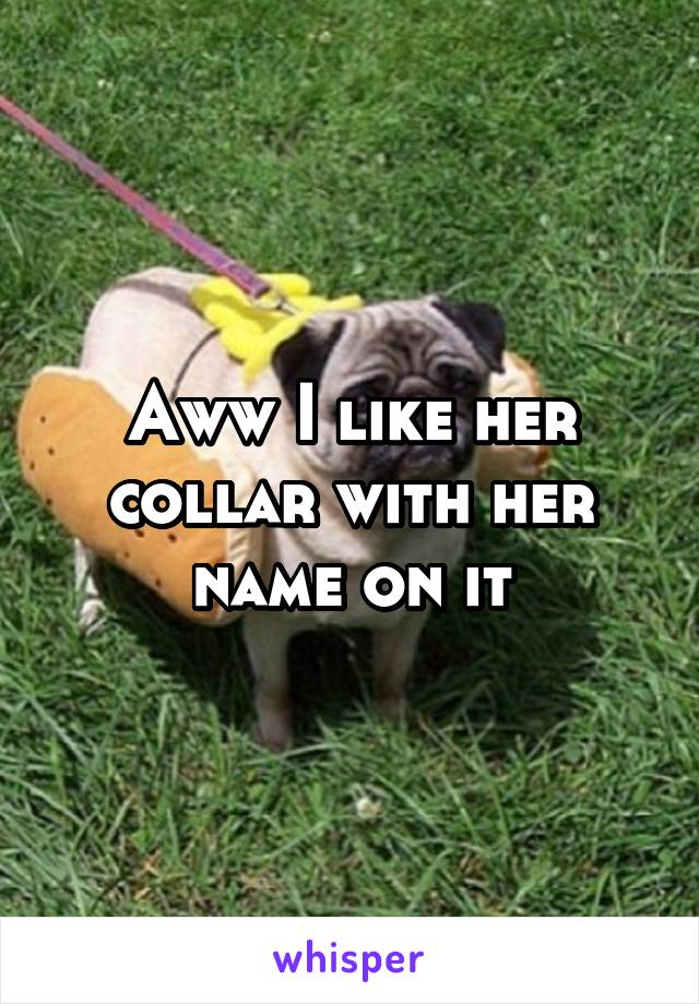 Aww I like her collar with her name on it