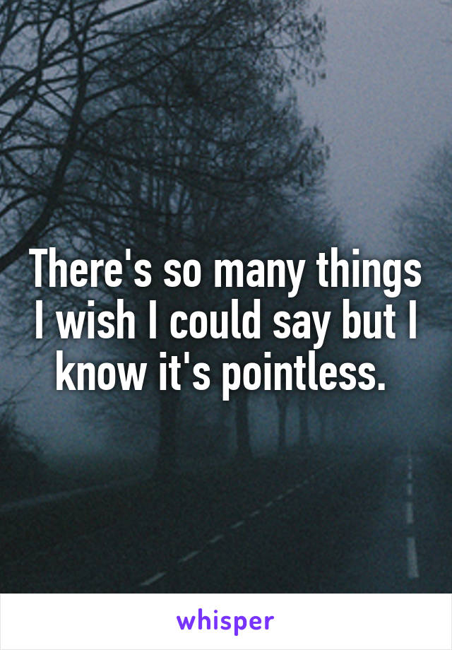 There's so many things I wish I could say but I know it's pointless. 