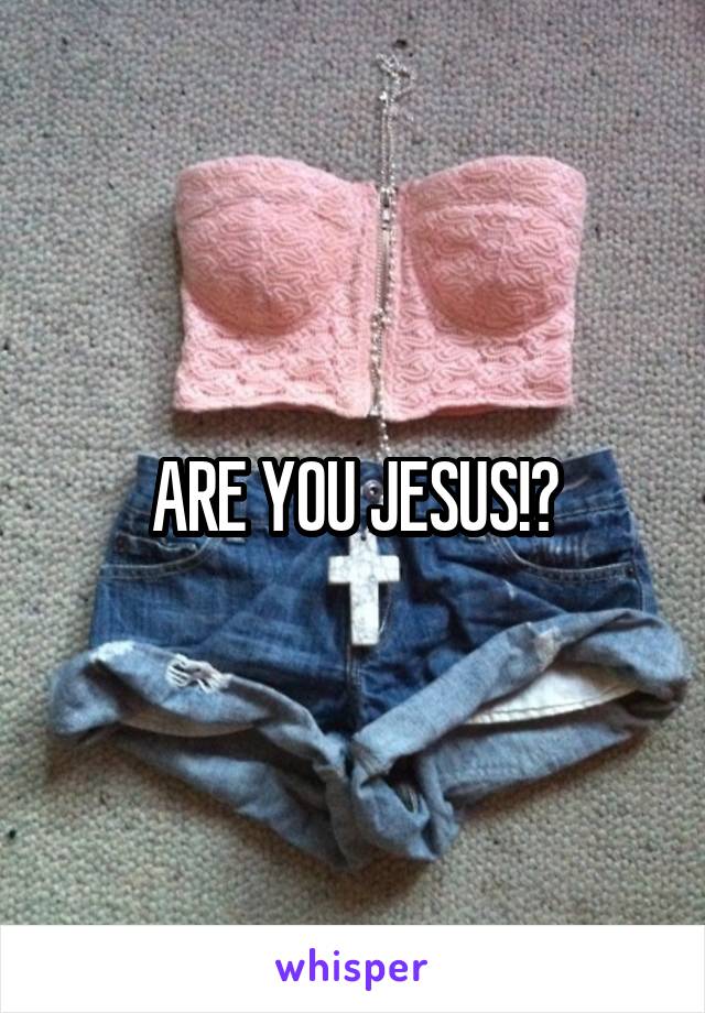 ARE YOU JESUS!?