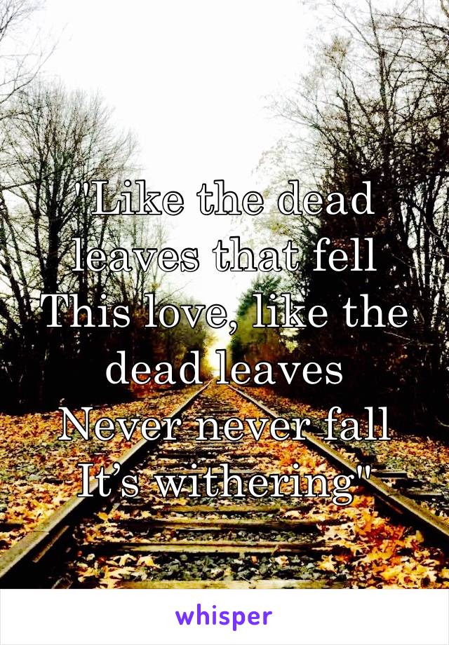 "Like the dead leaves that fell
This love, like the dead leaves
Never never fall
It’s withering"