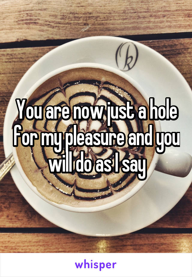 You are now just a hole for my pleasure and you will do as I say