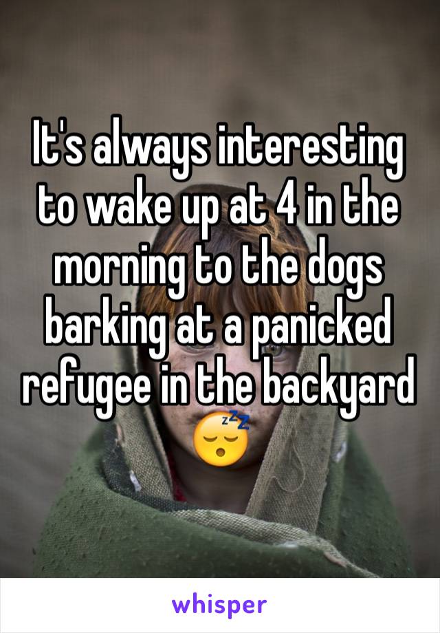 It's always interesting to wake up at 4 in the morning to the dogs barking at a panicked refugee in the backyard
😴
