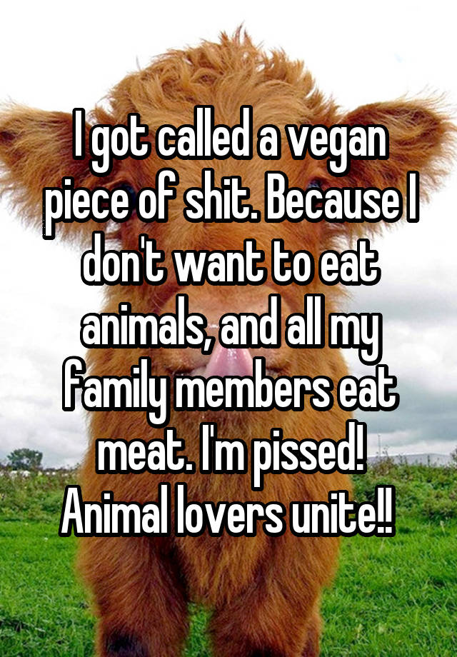 i-got-called-a-vegan-piece-of-shit-because-i-don-t-want-to-eat-animals