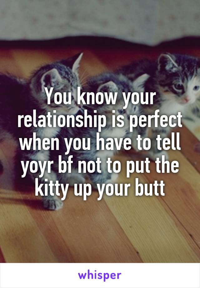 You know your relationship is perfect when you have to tell yoyr bf not to put the kitty up your butt