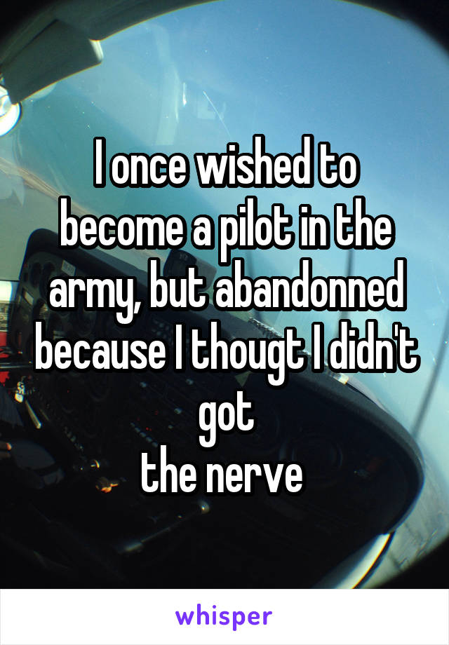 I once wished to become a pilot in the army, but abandonned because I thougt I didn't got
the nerve 