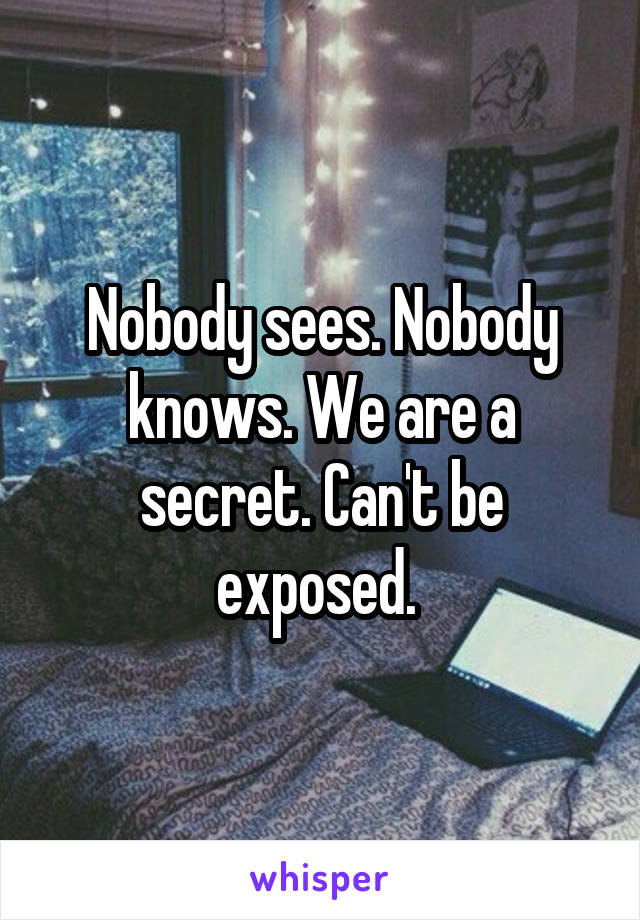 Nobody sees. Nobody knows. We are a secret. Can't be exposed. 