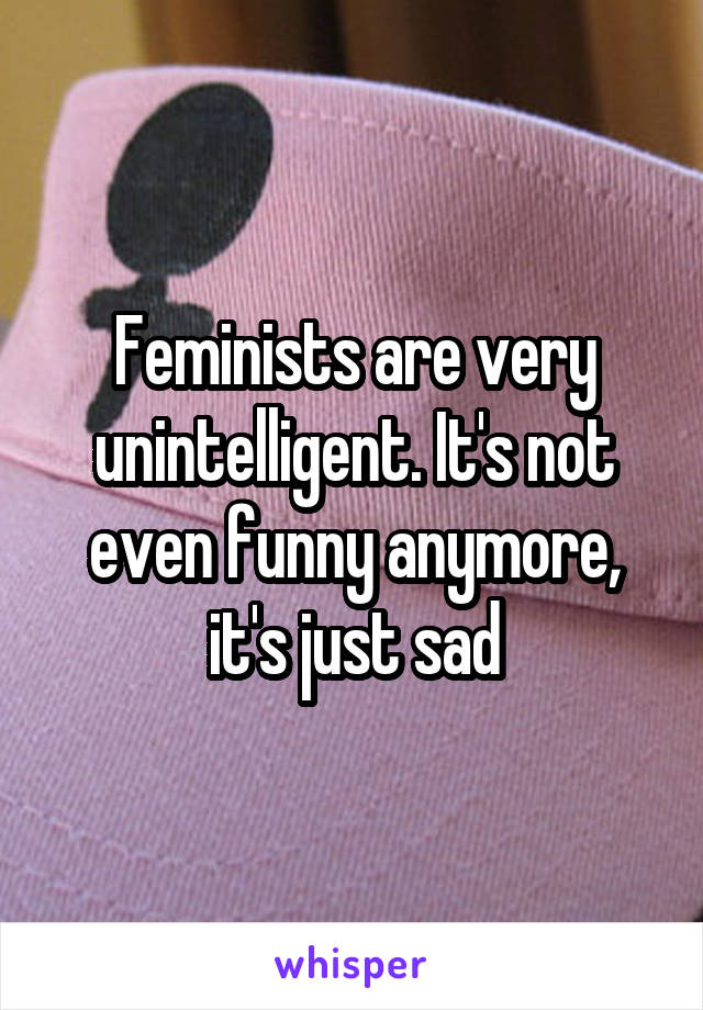 Feminists are very unintelligent. It's not even funny anymore, it's just sad