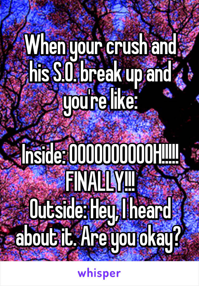 When your crush and his S.O. break up and you're like:

Inside: OOOOOOOOOOH!!!!! FINALLY!!!
Outside: Hey, I heard about it. Are you okay? 