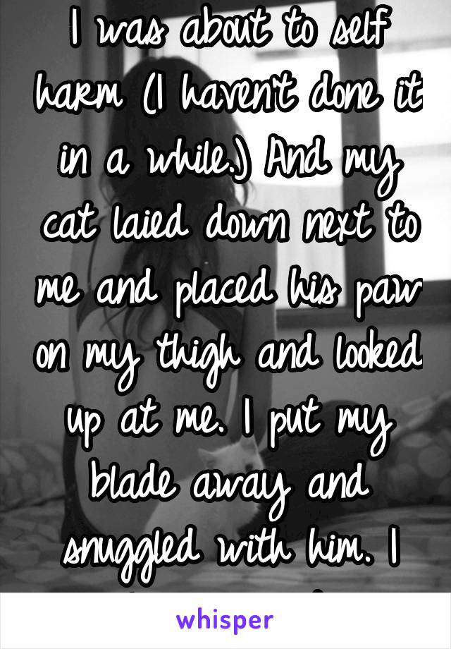 I was about to self harm (I haven't done it in a while.) And my cat laied down next to me and placed his paw on my thigh and looked up at me. I put my blade away and snuggled with him. I love my cat.