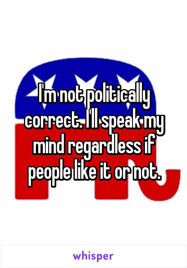 I'm not politically correct. I'll speak my mind regardless if people like it or not.