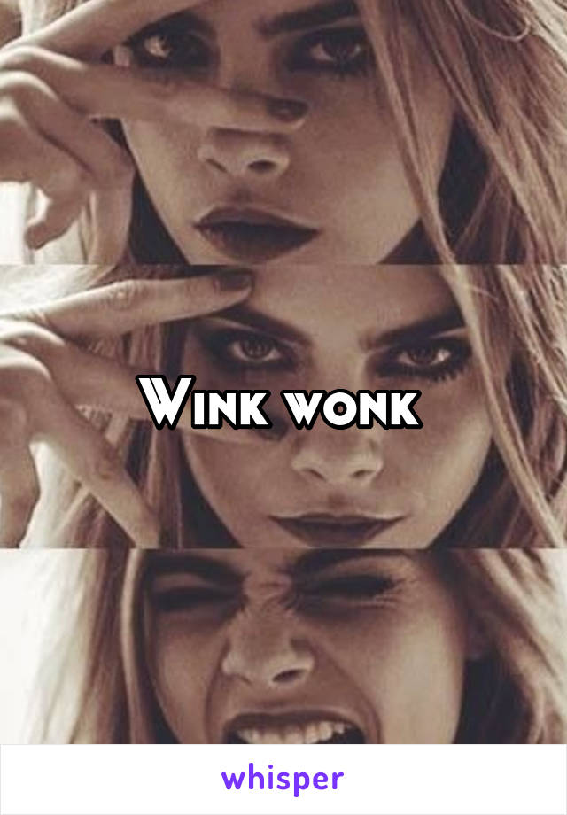 Wink wonk 