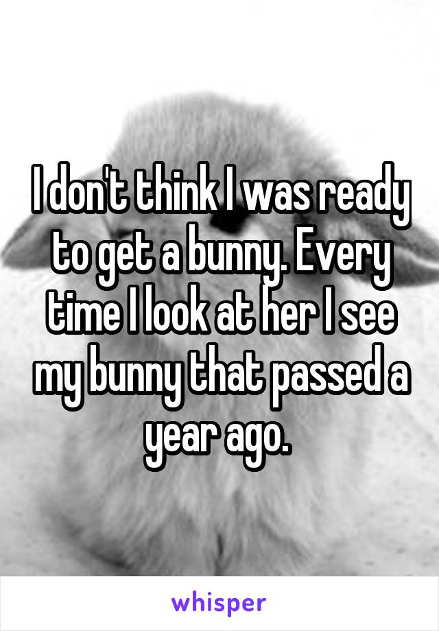 I don't think I was ready to get a bunny. Every time I look at her I see my bunny that passed a year ago. 