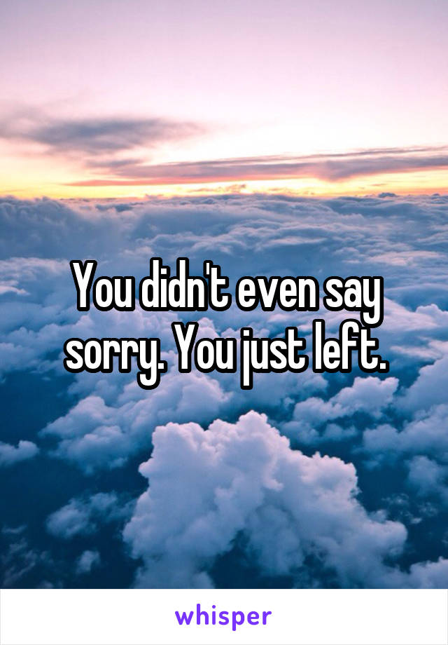 You didn't even say sorry. You just left.