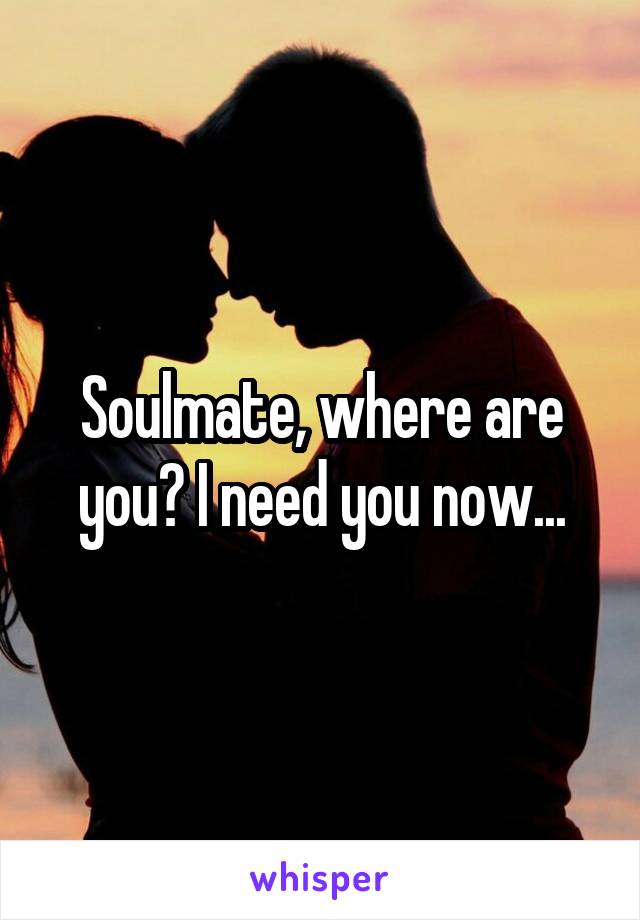 Soulmate, where are you? I need you now...