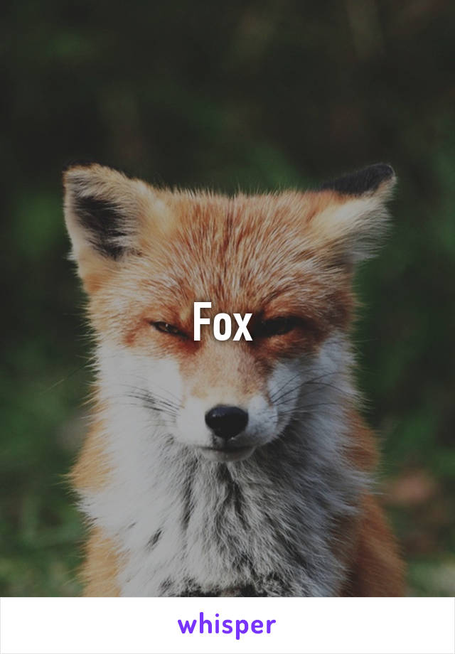 Fox 