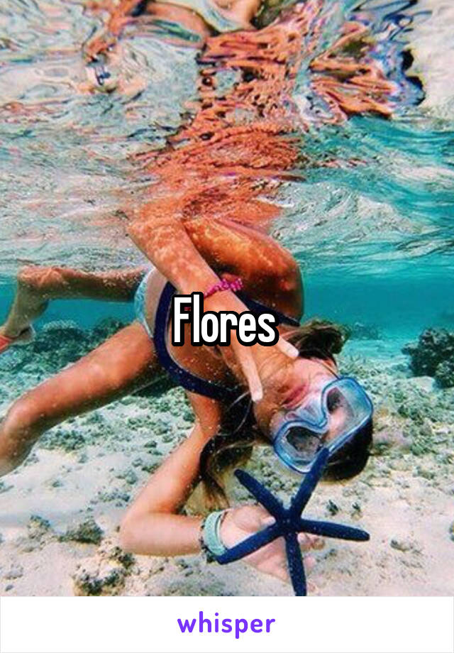 Flores 