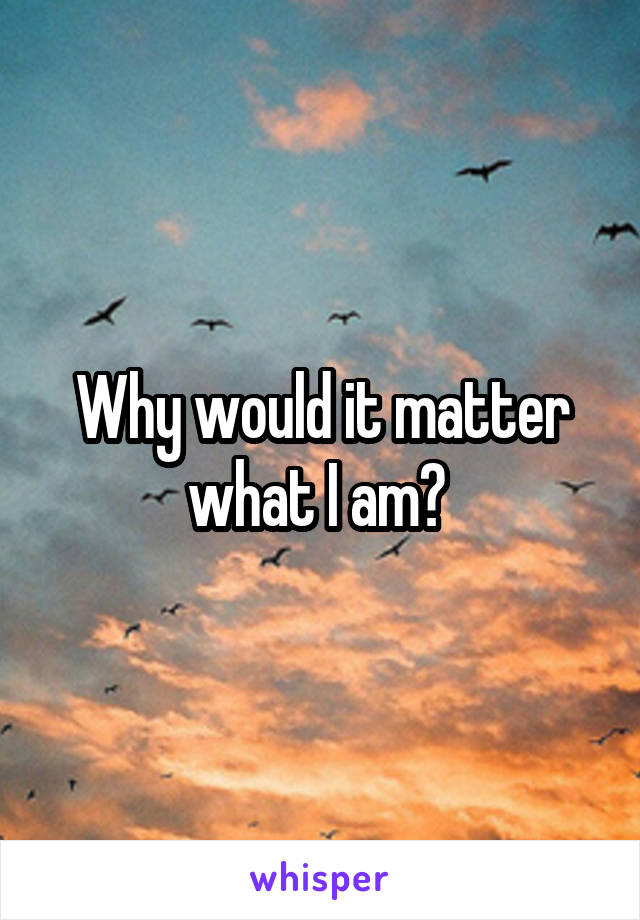 Why would it matter what I am? 