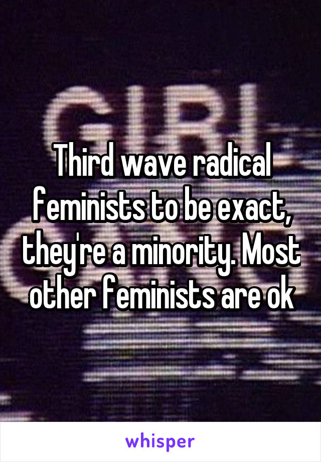 Third wave radical feminists to be exact, they're a minority. Most other feminists are ok