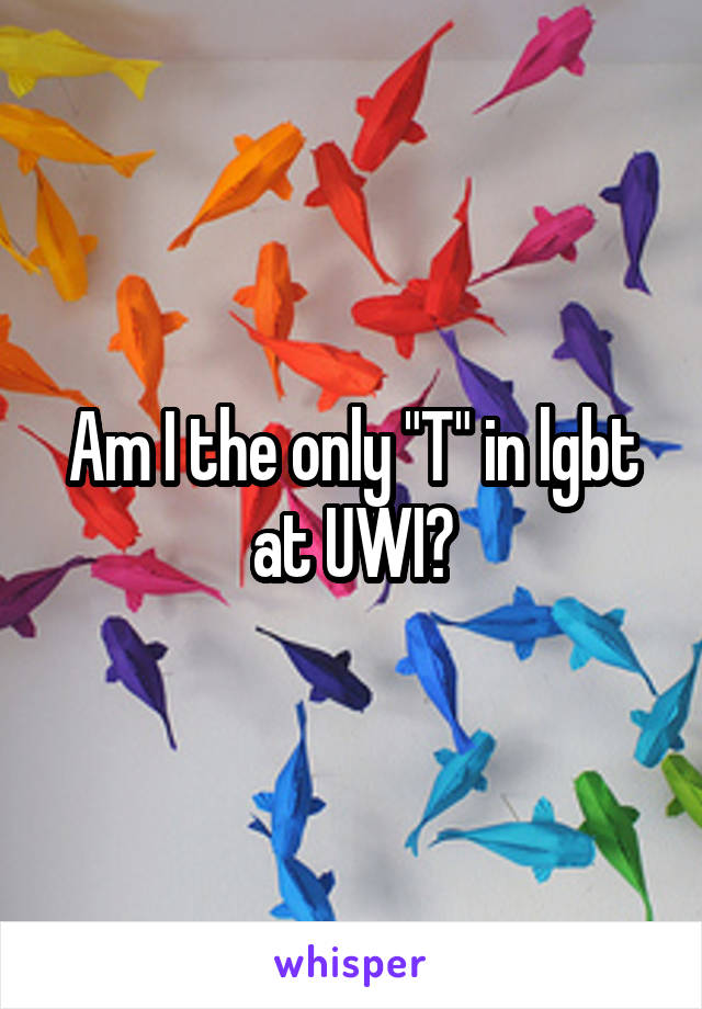 Am I the only "T" in lgbt at UWI?