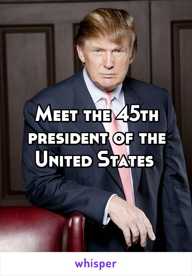 Meet the 45th president of the United States 