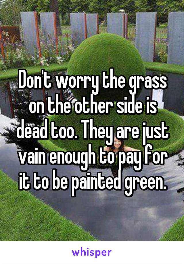 Don't worry the grass on the other side is dead too. They are just vain enough to pay for it to be painted green.