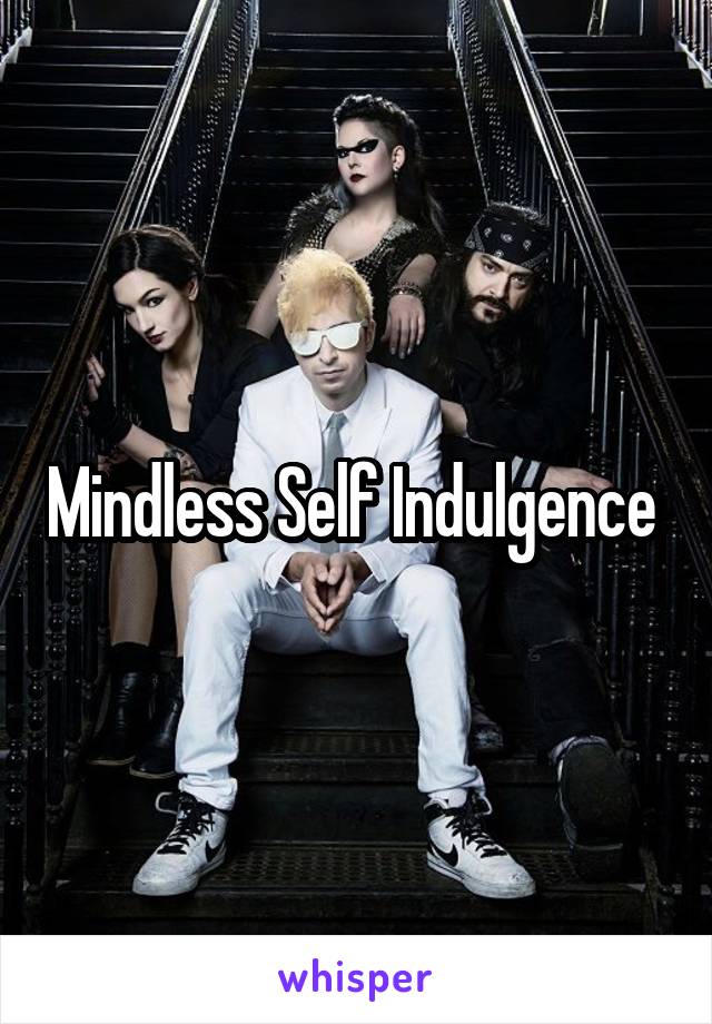 Mindless Self Indulgence 