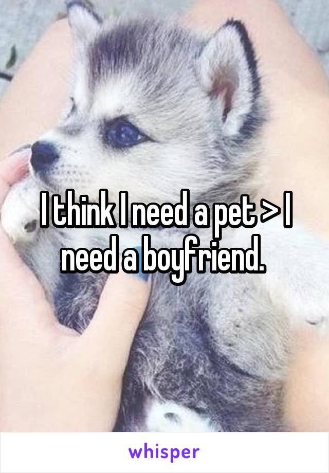 I think I need a pet > I need a boyfriend. 