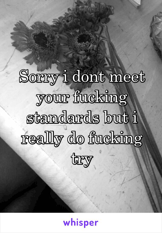 Sorry i dont meet your fucking standards but i really do fucking try