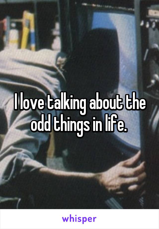 I love talking about the odd things in life. 