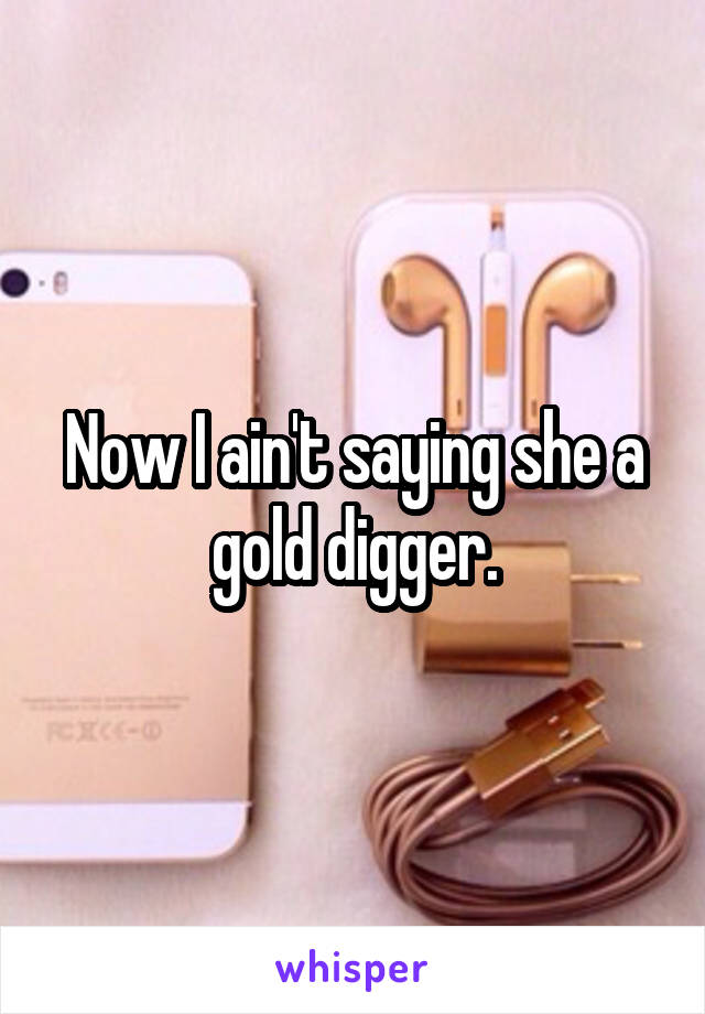 Now I ain't saying she a gold digger.