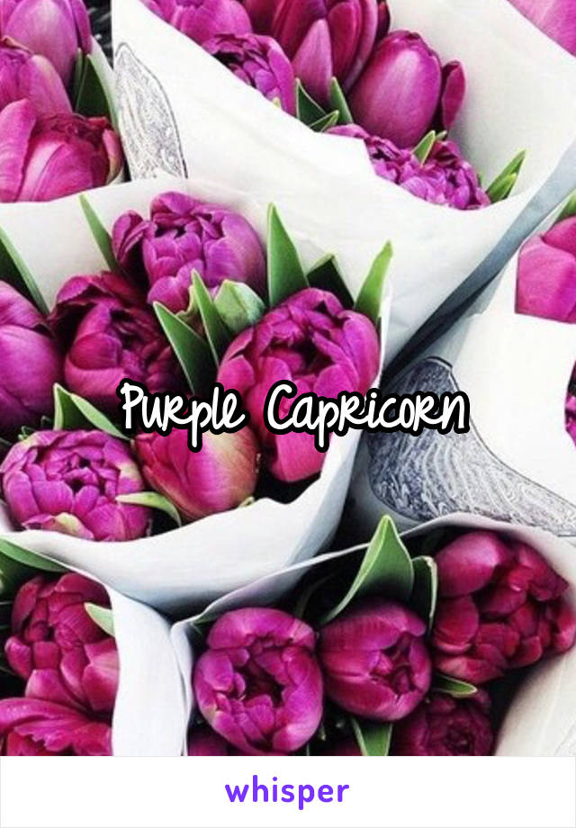 Purple Capricorn