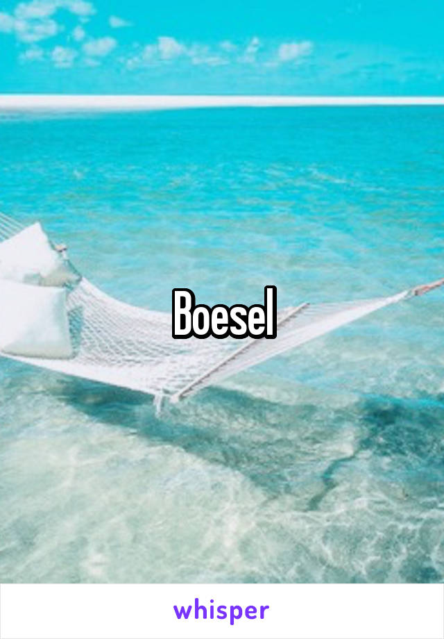 Boesel