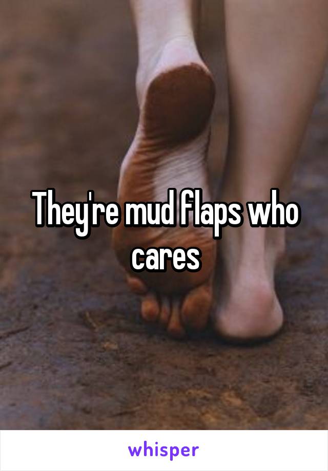 They're mud flaps who cares