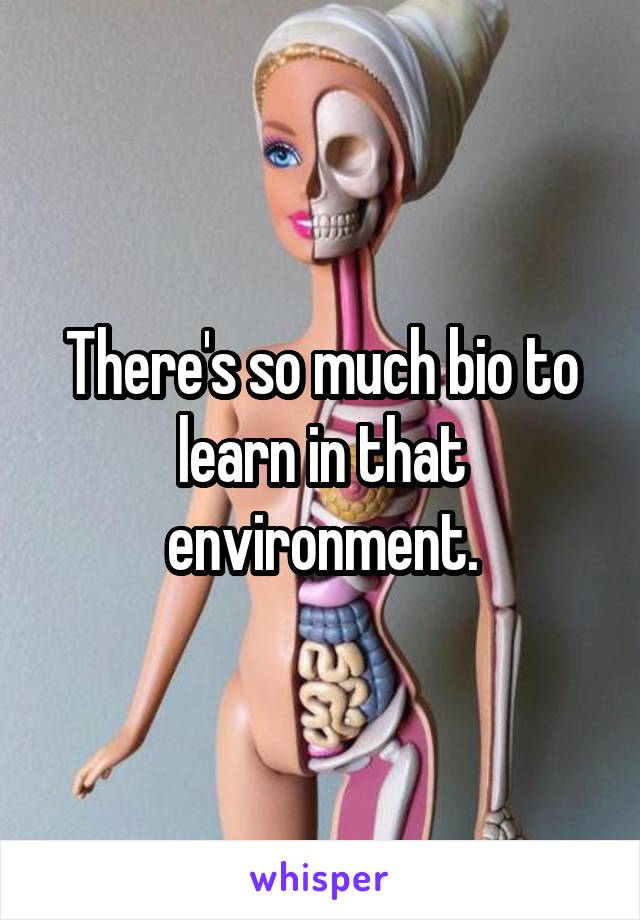 There's so much bio to learn in that environment.