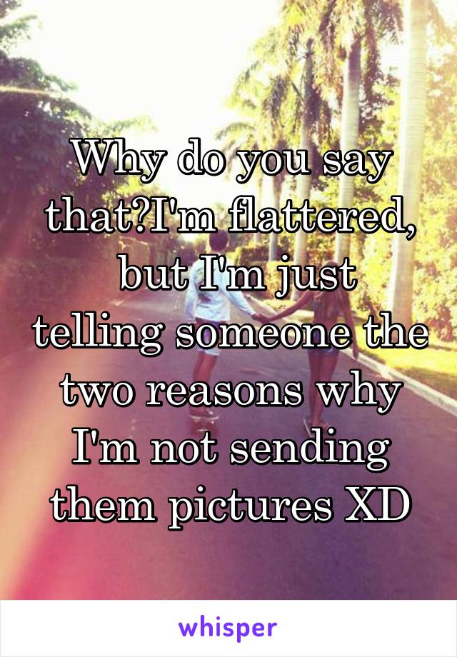 Why do you say that?I'm flattered,
 but I'm just telling someone the two reasons why I'm not sending them pictures XD