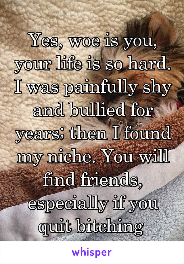 Yes, woe is you, your life is so hard. I was painfully shy and bullied for years; then I found my niche. You will find friends, especially if you quit bitching 