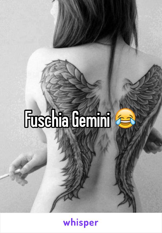 Fuschia Gemini 😂