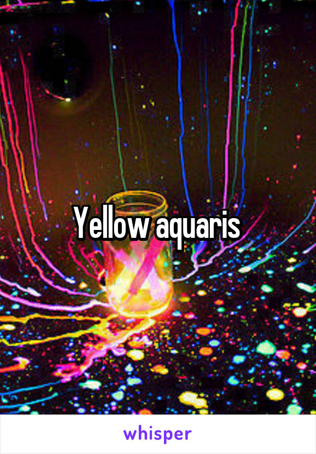 Yellow aquaris 