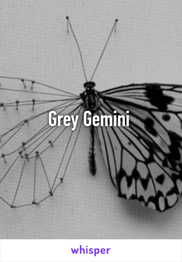 Grey Gemini 
