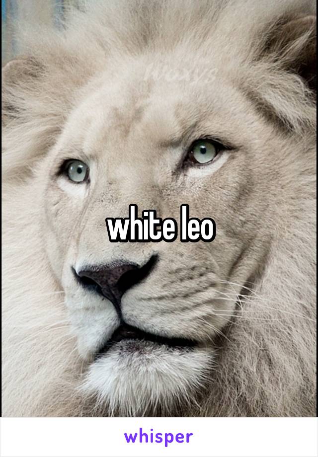 white leo