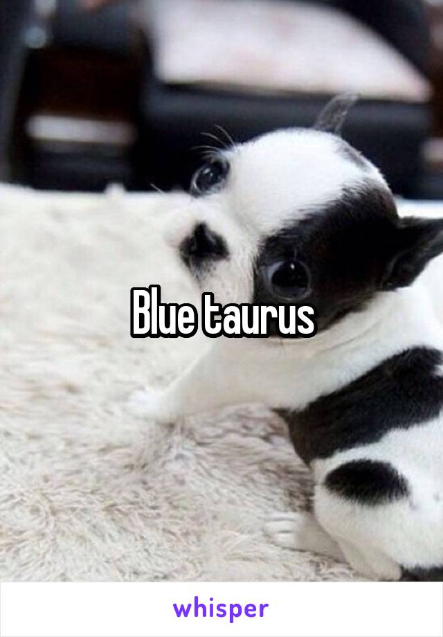 Blue taurus