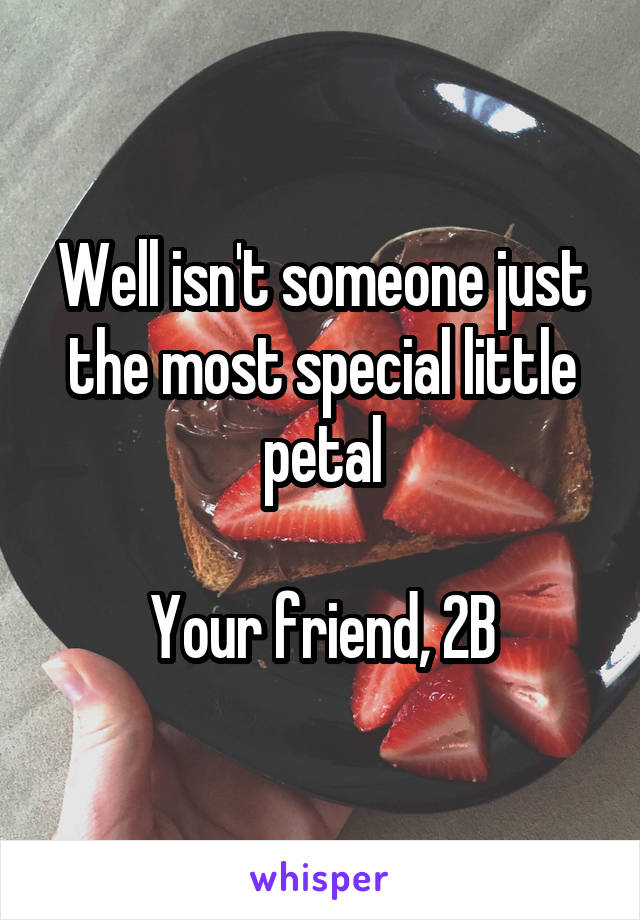 Well isn't someone just the most special little petal

Your friend, 2B
