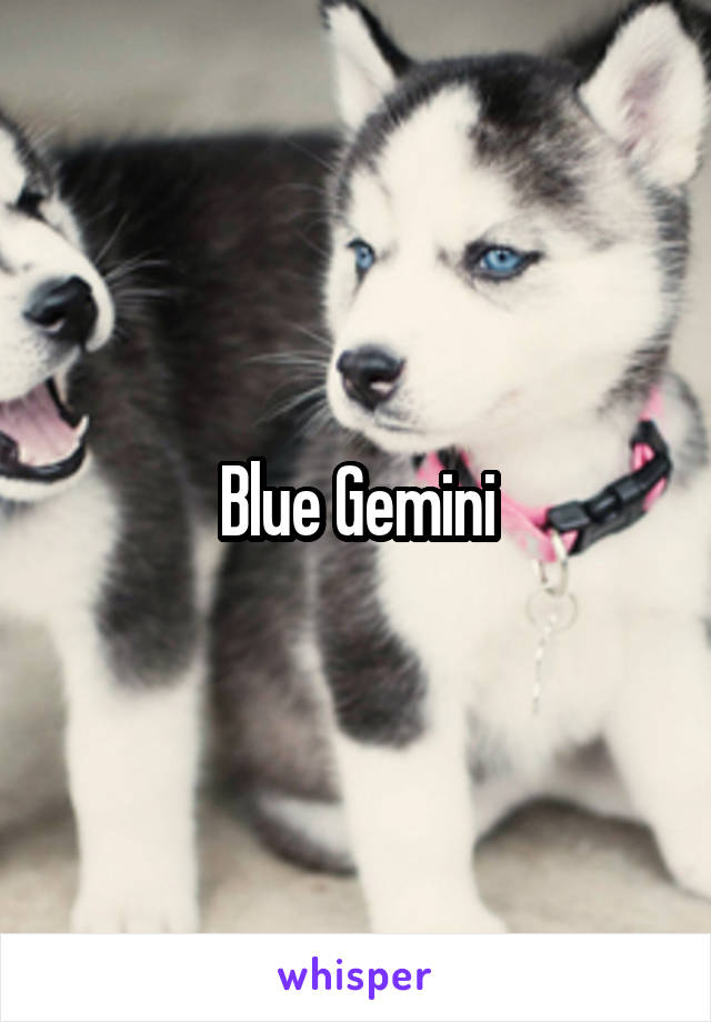 Blue Gemini