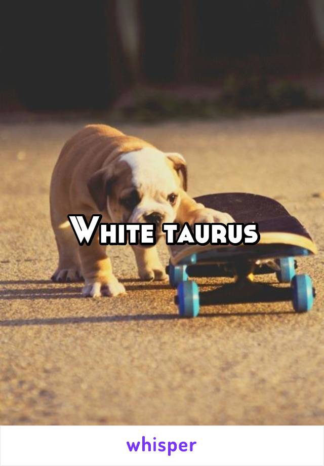 White taurus