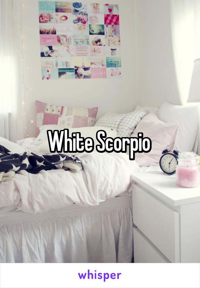 White Scorpio 